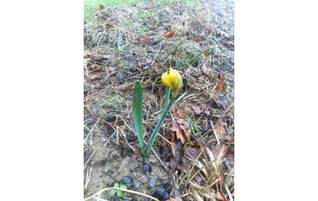 26.02.01 Sortie Club Boueuse VTT et Pedestre